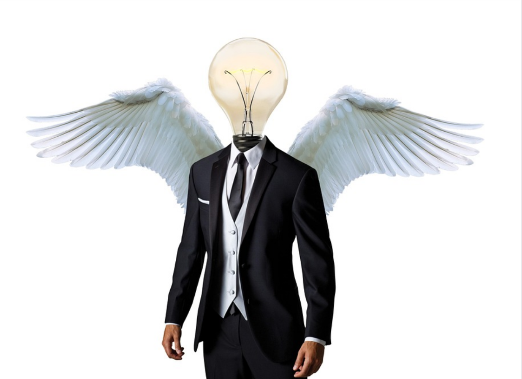 domain name investing can be smart, picture of man with lightbulb head and wings