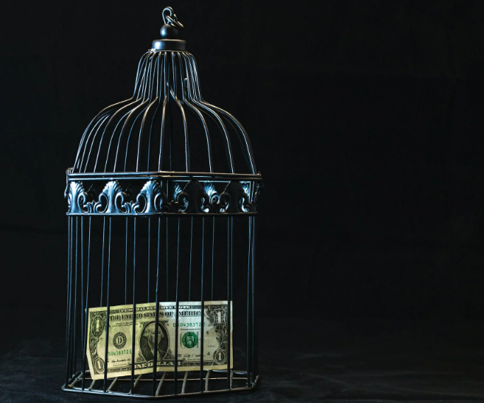 picture of money in a cage.