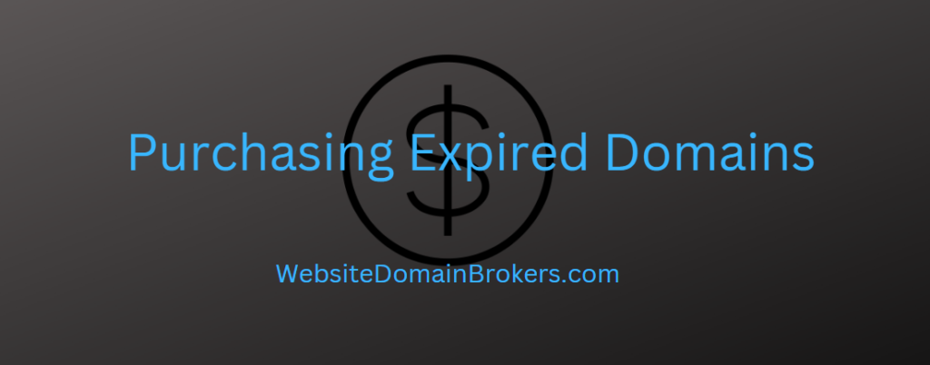 purchasing expired domains
